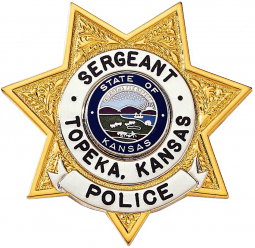 Seven Point Star Badge with Circular Panel