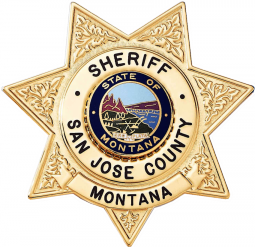 Seven Point Star Badge with Circular Panel