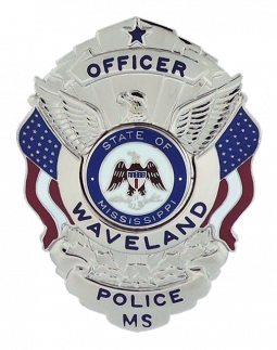 Shield with Eagle and Flags