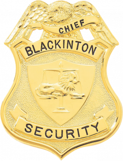 Semi-Custom Shield Badge with Eagle