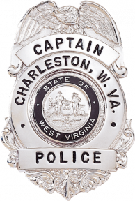 Badge with Eagle and Semi Circular Panel