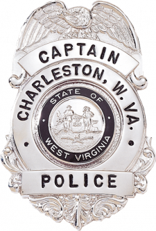 Badge with Eagle and Semi Circular Panel