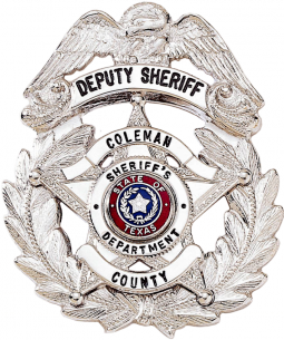 5-Point Star Badge with Eagle and Outer Wreath