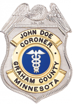 Badge with Eagle and Circular Panel