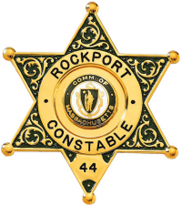 Six Point Deluxe Star Badge with Circular Panel