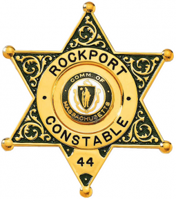 Six Point Deluxe Star Badge with Circular Panel