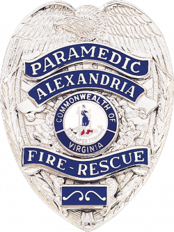 Badge with Eagle and Applied Reversed Enamel Panels