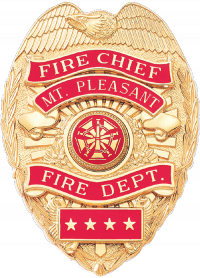 Reverse Enamel Panel Shield with Eagle in the Die