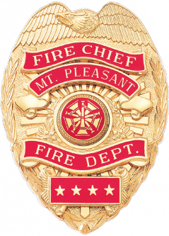 Reverse Enamel Panel Shield with Eagle in the Die