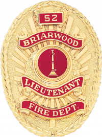 Oval badge with applied panels