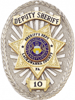 Badge with Applied Panels and Star