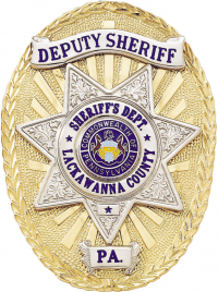 Oval Badge with Applied Panels & Star