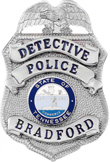 Badge with Eagle and Applied Panels