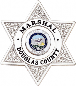 6-Point Star Badge with Circular Panel