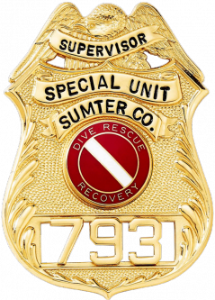 Shield Badge with Eagle