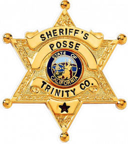 6-Point Star Badge