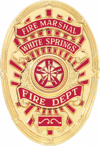 Oval badge with applied panels