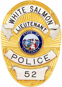 Oval Badge with Rays in the Background