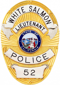 Oval Badge with Rays in the Background