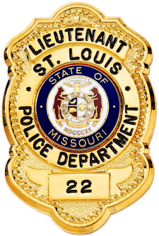 Shield with Circular Panel