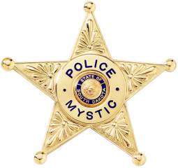 5-Point Star Badge