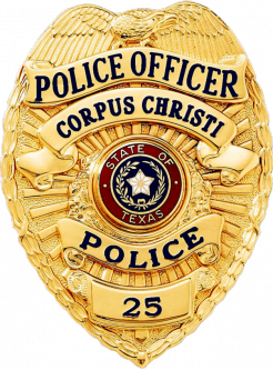 Badge with Eagle and Applied Panels