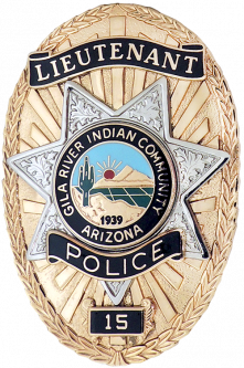 Oval Reversed Enamel Panel Badge with Star