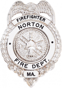 Eagle Badge with Wreath Sides