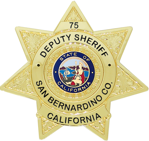 7-Point Star Badge