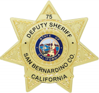 7 Point Star Badge with Circular Panel