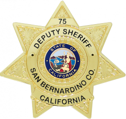 7 Point Star Badge with Circular Panel