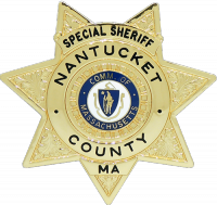 7 Point Star Badge with Circular Panel