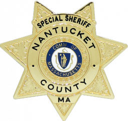 7 Point Star Badge with Circular Panel