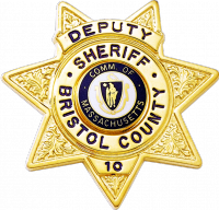 Seven Point Star Badge with Circular Panel