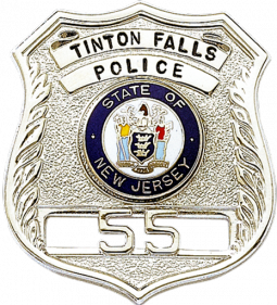 Small Shield Badge with Open Panel