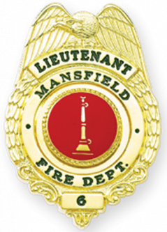 Eagle Badge with Wreath Sides