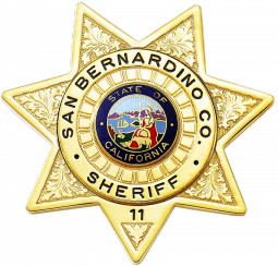 7-Point Star Badge