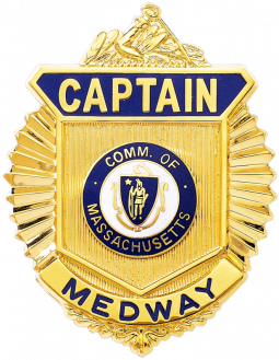 Radiator Badge with Arm of the Law