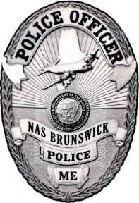 Oval Badge with State of Maine and Plane