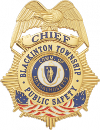 Starburst Badge with Eagle and American Flag