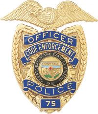 Panel Shield with Eagle and Reverse Panels