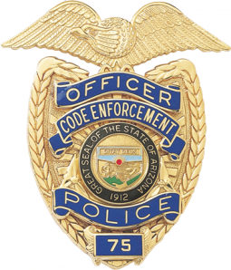 Panel Shield with Eagle and Reverse Panels