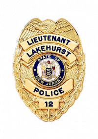 Shield with Eagle on Top