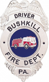 Badge with Eagle and Circular Panel