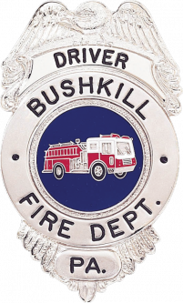 Badge with Eagle and Circular Panel