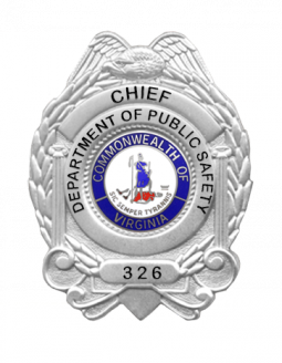 Small Department of Public Safety Badge