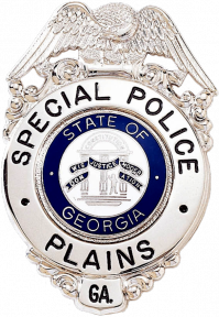 Badge with Eagle and Circular Panel