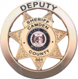 Seven Point Star Inside a Ring