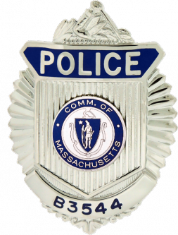 Radiator Style Badge with Arm of Law