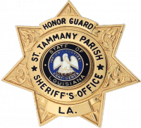 Seven Point Star Badge with Circular Panel